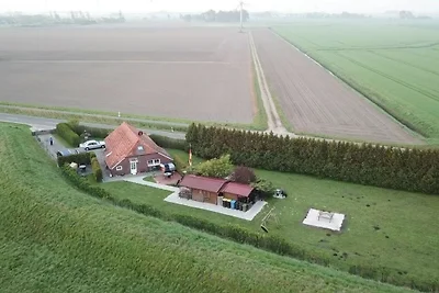 Deichperle / Tini