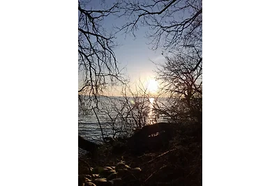 Schweriner See mit Seeblick