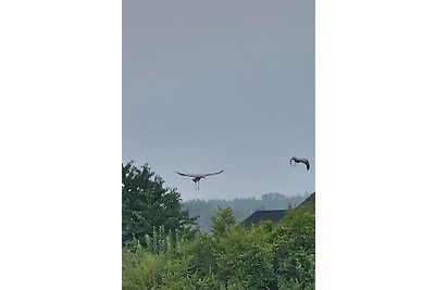 Schweriner See mit Seeblick