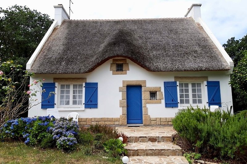 Unser charmantes Landhaus mit Reetdach und riesigem Garten.