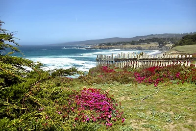 Casa Pacis