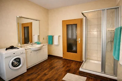 Apartamentos Schneider