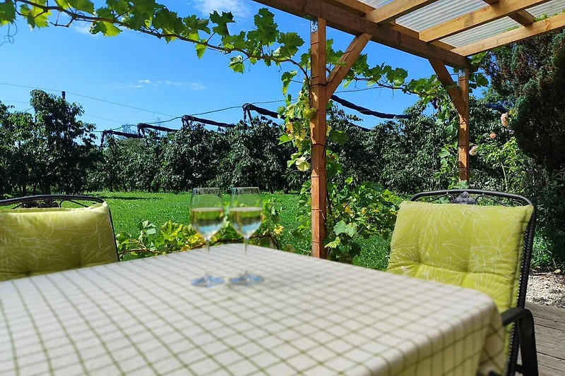 Überdachter Sitzplatz im Garten mit Tisch und Stühlen.