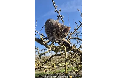 Erholung pur bei Reinhold