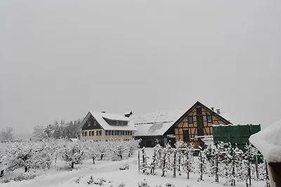 Ferienoase in Eriskirch a.B.