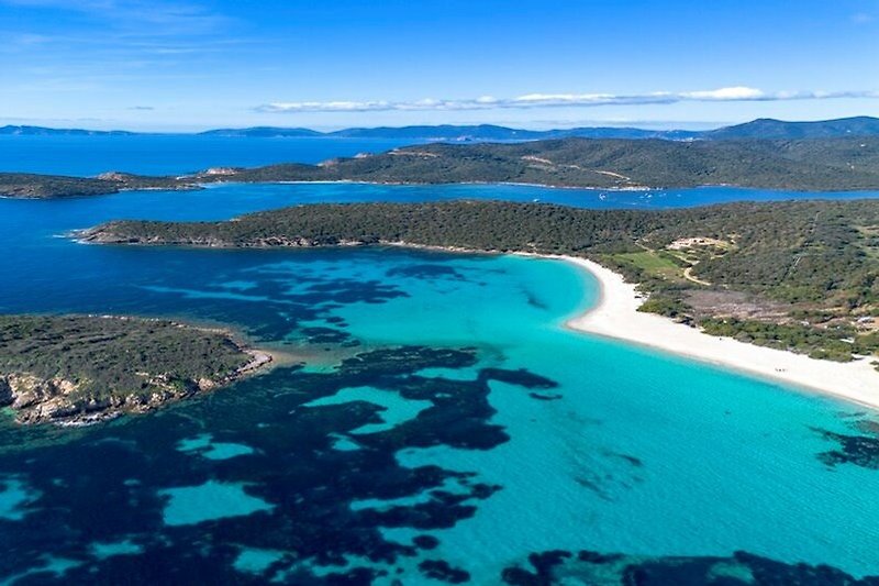 Türkisblaues Wasser und tropische Küste mit Sandstrand.