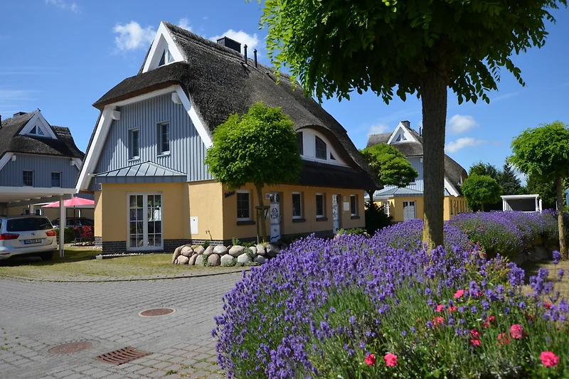 Urlaub unter Reet