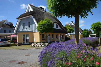 Ferienhaus Seebrise -Fahrräder inkl