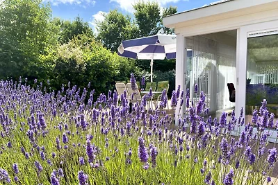 „Haus Lilly“