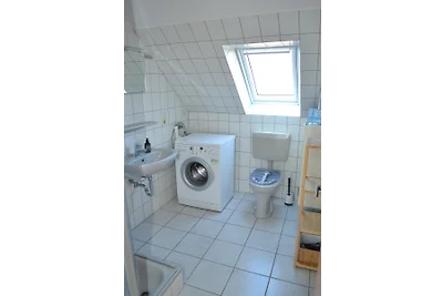 Ferienhaus Seerobbe