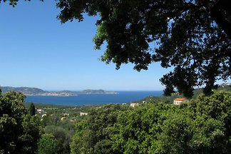 Calvi-Lumio