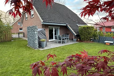 Silbermöwe Linda