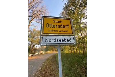 Silbermöwe Linda