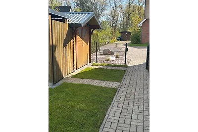 Silbermöwe Linda