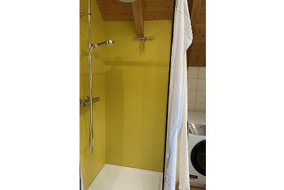 Neu renoviertes 2Zimmer Appartement