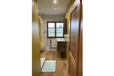 Neu renoviertes 2Zimmer Appartement