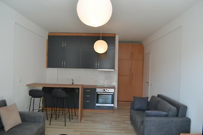 Studio Apartment - 282