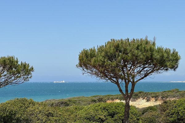 Ferienwohnung Chiclana La Barrosa