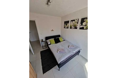Fewo Saric Vir Apartment Marlon