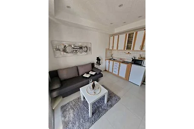 Fewo Saric Vir Apartment Marlon