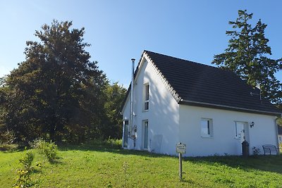 Nest am See