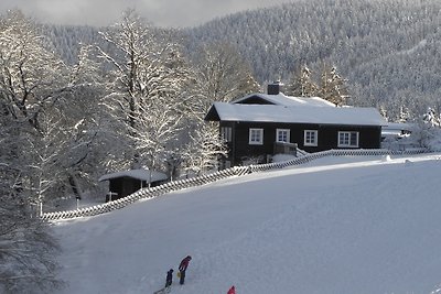 Ferienhaus Buchwiese