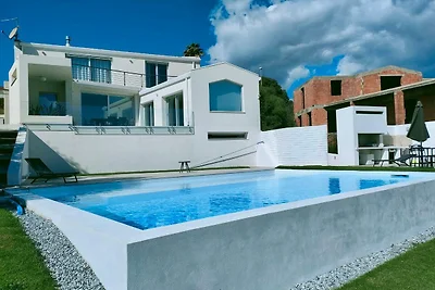 The modern house