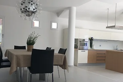 The modern house
