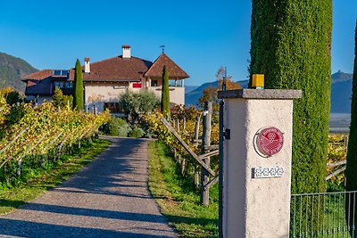 Weinberghof