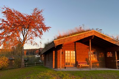 FERIENHAUS FERIENWOHNUNG EIFEL-ARDENNEN BLOCKHAUS VIEBIGHAUS