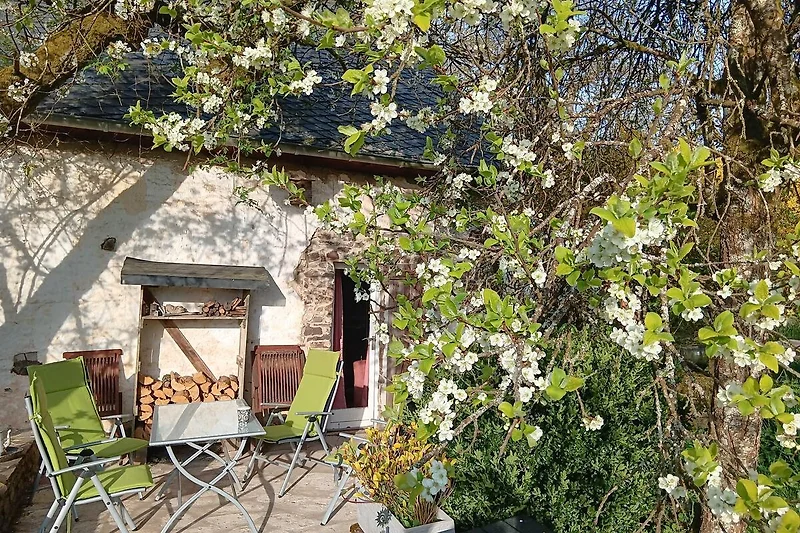 Gartenterrasse in der Morgensonne