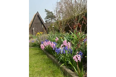 Reetdachhaus mit Wasserblick Garten und Kamin