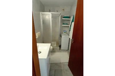 Flamingo 13