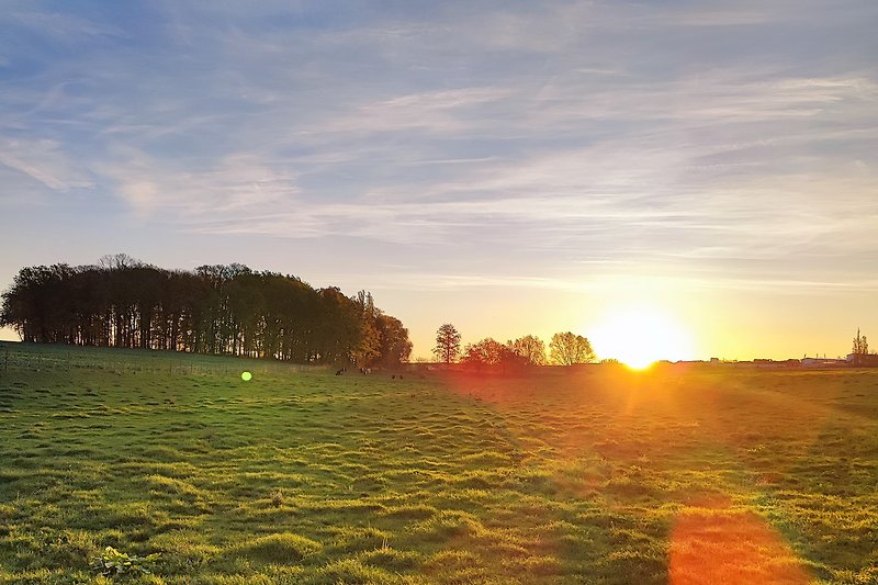 Urlaub bei Familie Taubert ... unsere Weiden hinter dem Dorf