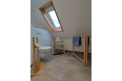 Urlaub im Neuseenland Leipzig - Enni
