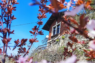 Wohnen im Weinberg - Weinberghaus