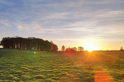 Urlaub im Neuseenland Leipzig - Enni