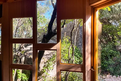Cosy cabin in a mediterranean food forest