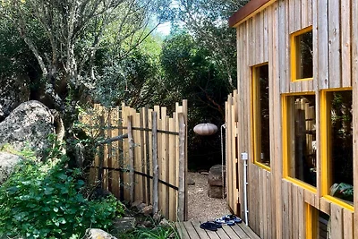 Cosy cabin in a mediterranean food forest