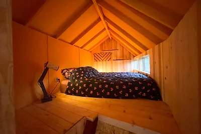 Cosy cabin in a mediterranean food forest