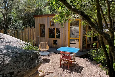 Cosy cabin in a mediterranean food forest