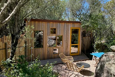 Cosy cabin in a mediterranean food forest