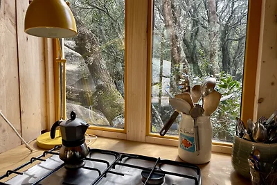Cosy cabin in a mediterranean food forest
