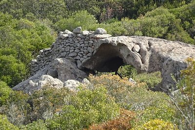 Cosy cabin in a mediterranean food forest