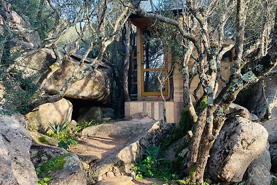 Cosy cabin in a mediterranean food forest