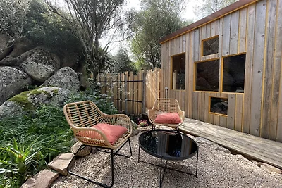 Cosy cabin in a mediterranean food forest