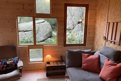 Cosy cabin in a mediterranean food forest