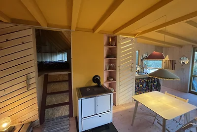 Cosy cabin in a mediterranean food forest