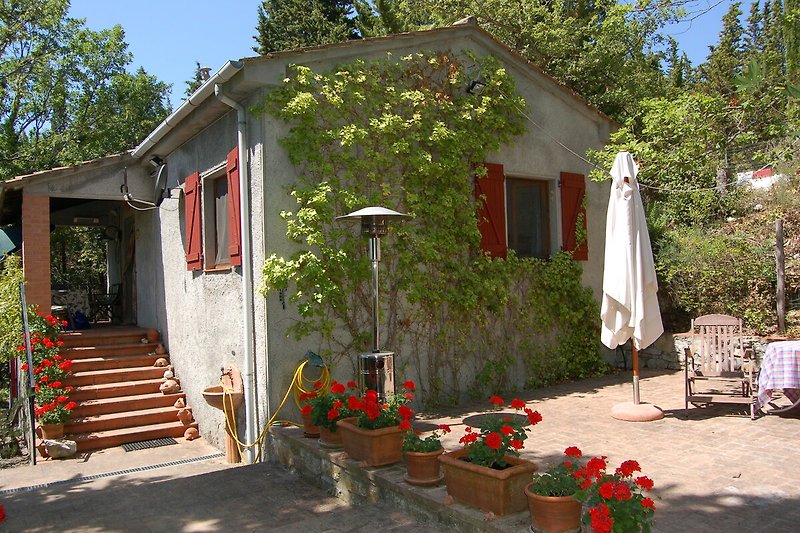 Charmanter Garten mit Blumen, Pflanzen und gemütlicher Sitzgelegenheit.