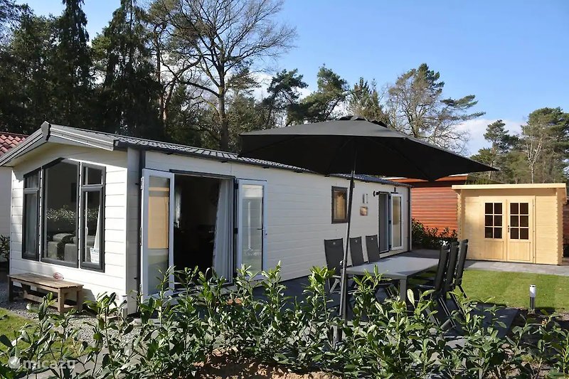 Garten mit Landschaftsgestaltung und Einfahrt.